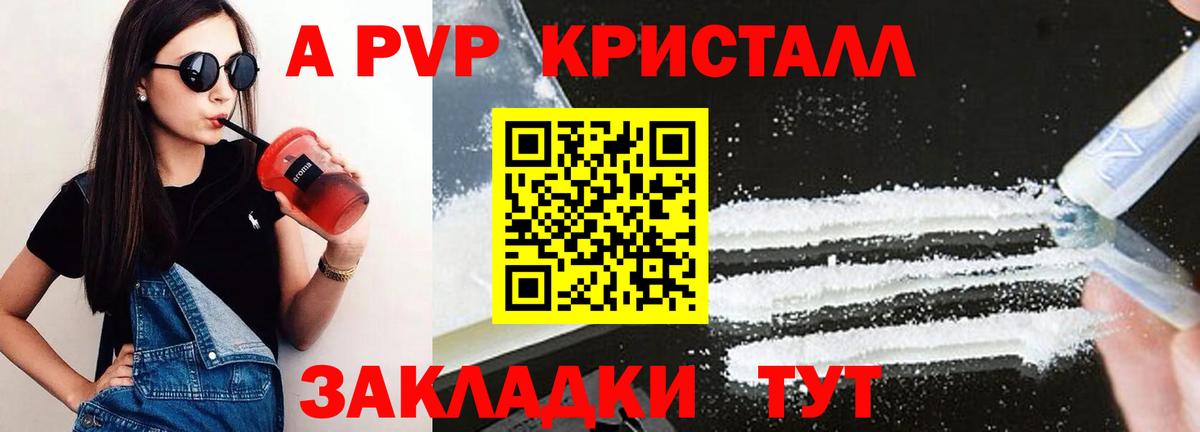 A PVP СК КРИС Сыктывкар