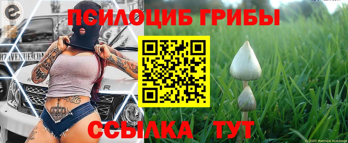 Галлюциногенные грибы мицелий Сыктывкар