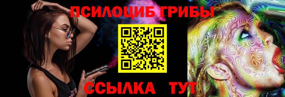 Сыктывкар  Псилоцибиновые грибы Psilocybine cubensis  магазин    Псилоцибиновые грибы мицелий  Вход с VPN 