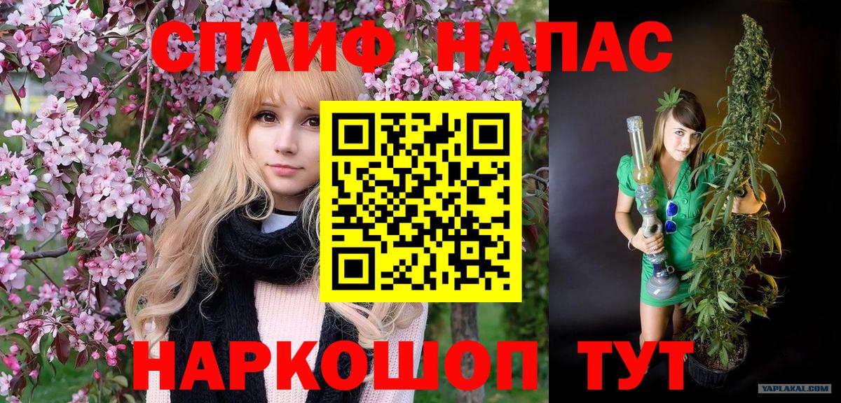 Бошки марихуана сатива  Бошки марихуана планчик  Сыктывкар  Бошки Шишки конопля  Вход с VPN 